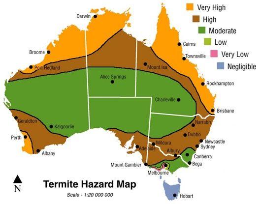 termite-treatment-carindale-hazard-map